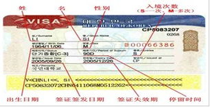 韓國簽證類型及門票預(yù)定指南 輕松規(guī)劃您的韓國之旅